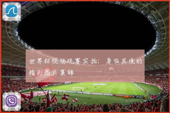 世界杯现场观赛实拍：身临其境的精彩图片集锦